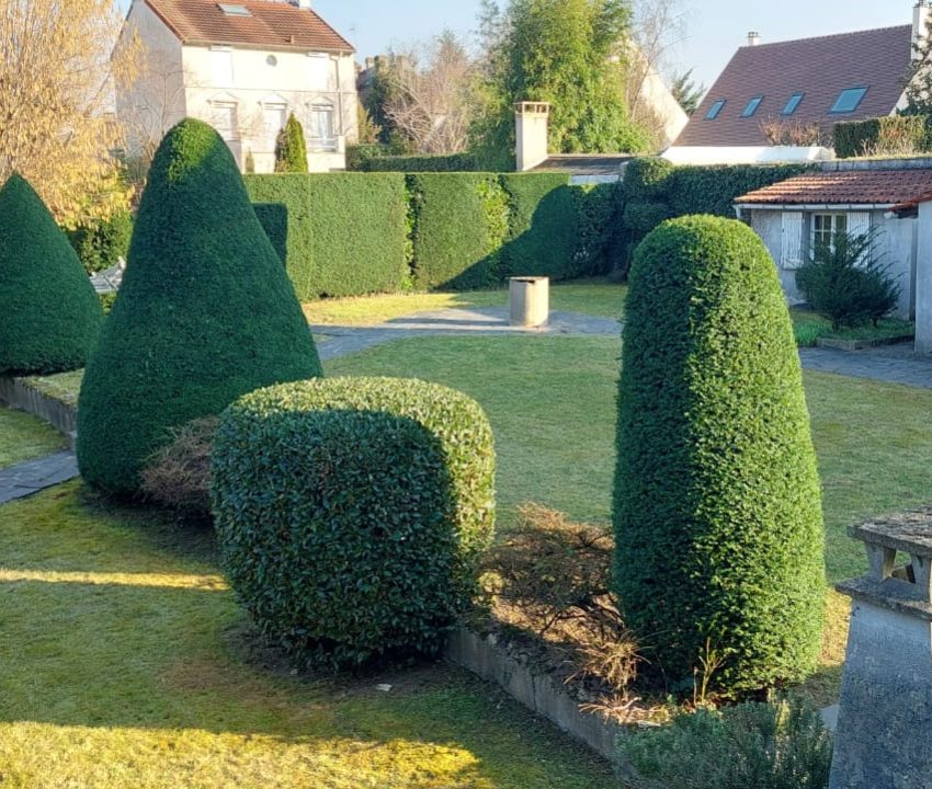 Elagage et abattage - CODEPA Paysagiste dans le val d'oise et les yvelines