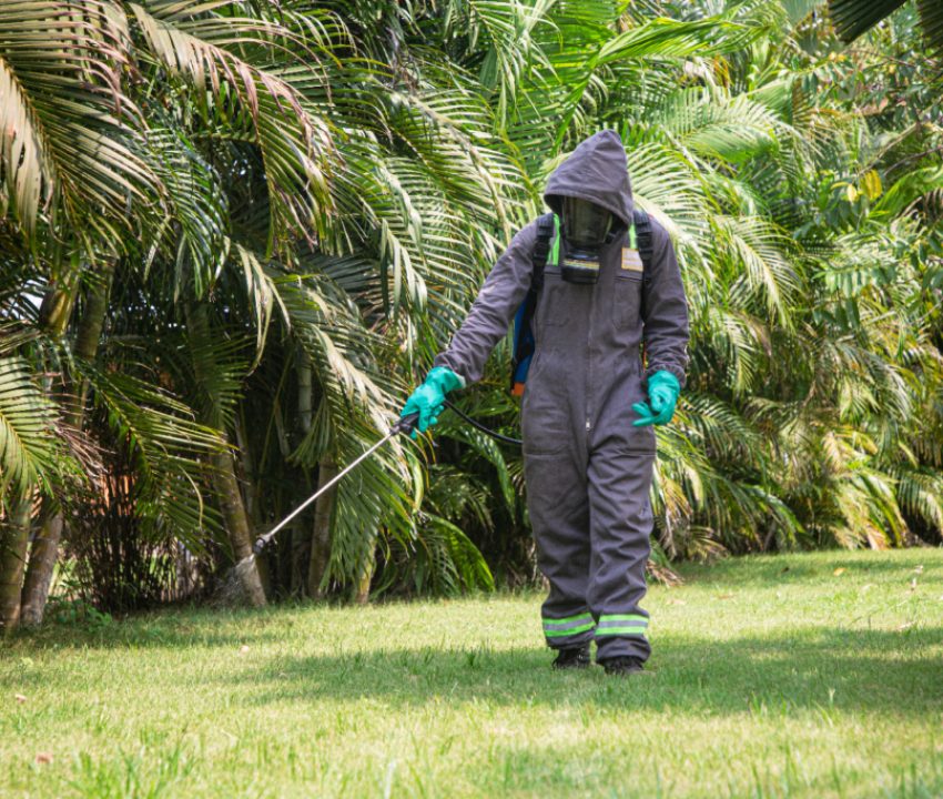 Traitement phytosanitaire - Codepa Vert & Terrasse Yvelines